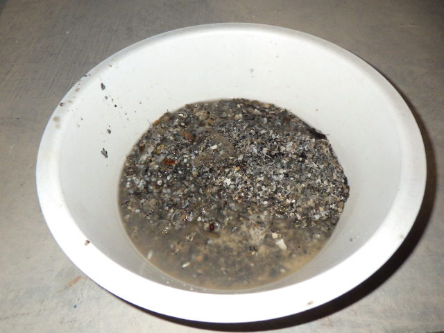 ディスポーザー内に堆積した堆積物